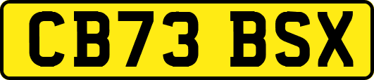 CB73BSX