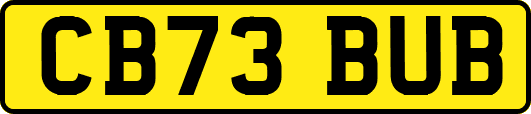 CB73BUB