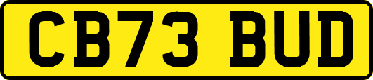 CB73BUD