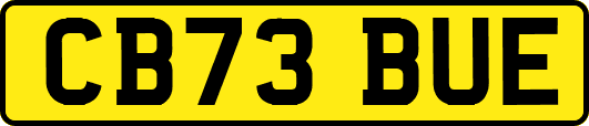 CB73BUE