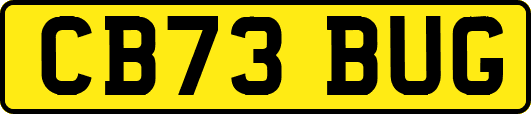 CB73BUG