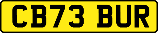 CB73BUR