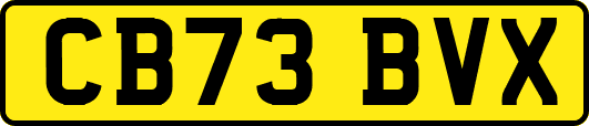 CB73BVX