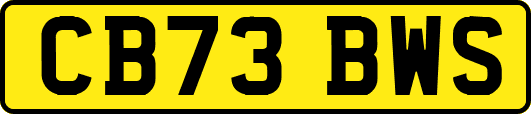 CB73BWS