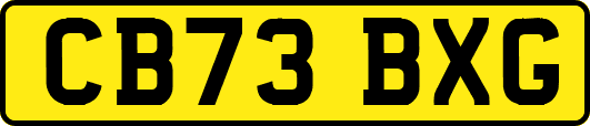 CB73BXG