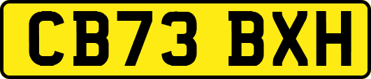 CB73BXH