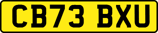 CB73BXU