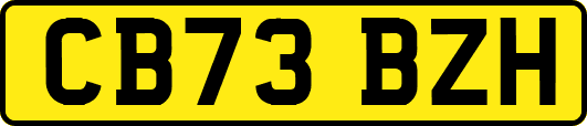 CB73BZH