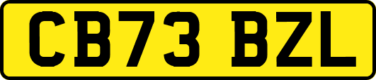 CB73BZL