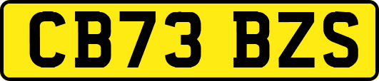 CB73BZS