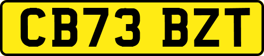 CB73BZT