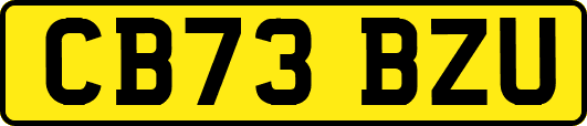 CB73BZU