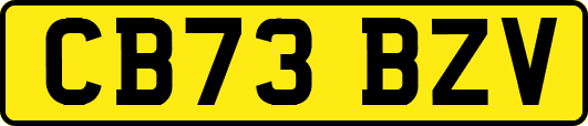 CB73BZV