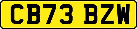 CB73BZW