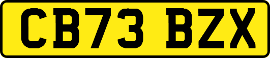 CB73BZX