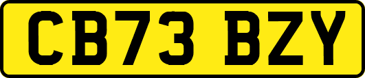 CB73BZY