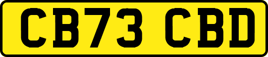 CB73CBD