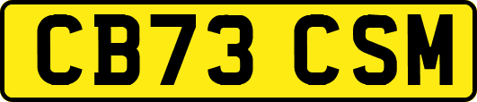 CB73CSM
