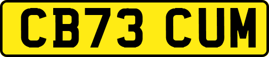 CB73CUM