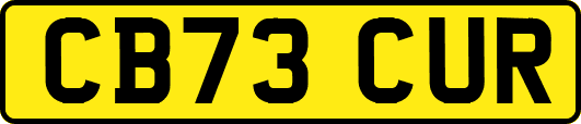 CB73CUR