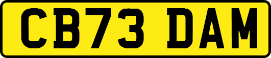 CB73DAM
