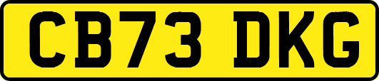 CB73DKG