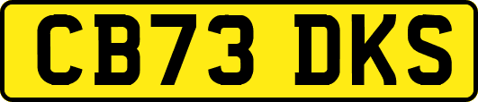 CB73DKS