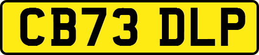 CB73DLP
