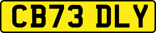 CB73DLY