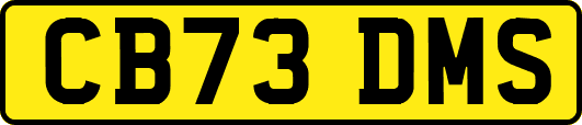 CB73DMS