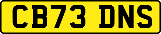 CB73DNS