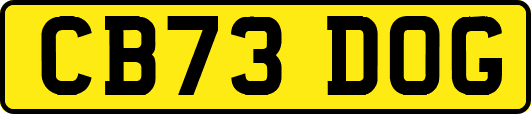 CB73DOG