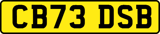 CB73DSB
