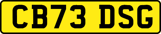CB73DSG