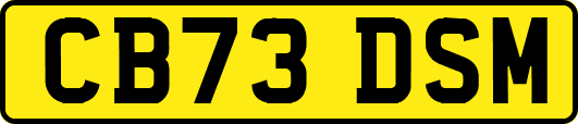 CB73DSM