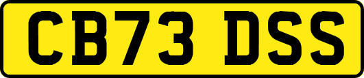 CB73DSS