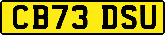 CB73DSU