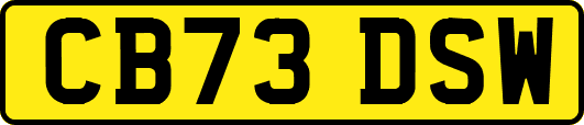 CB73DSW