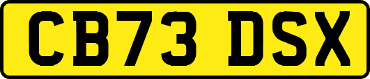 CB73DSX