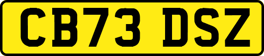CB73DSZ