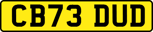 CB73DUD