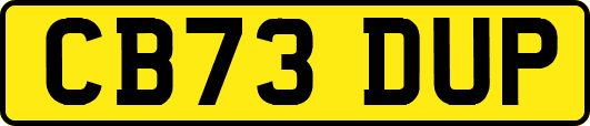 CB73DUP