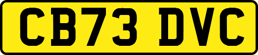 CB73DVC