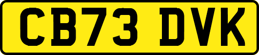 CB73DVK