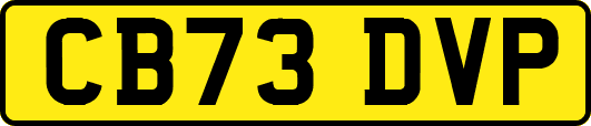 CB73DVP