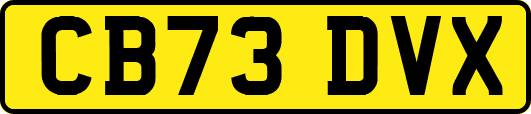 CB73DVX