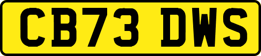 CB73DWS
