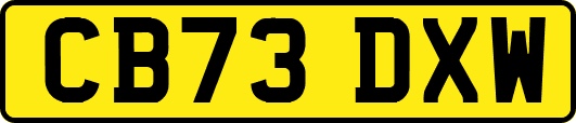 CB73DXW