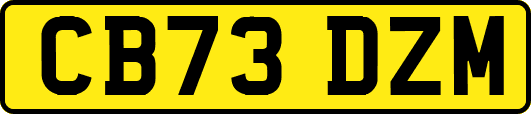 CB73DZM