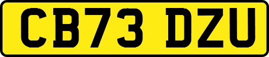 CB73DZU